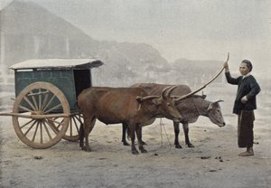 Carro annamita de European Photographer